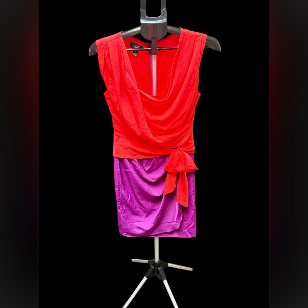 Suzi Chin Red and Purple Mini Dress